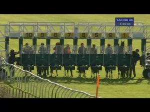 Video preview image for Thirsk 17:55 - Thirsk Curry & Comedy Night 11th October Handicap