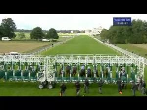 Video preview image for York 16:40 - Hanson Springs 50th Anniversary Handicap