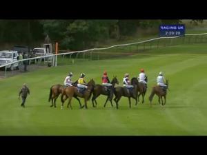 Video preview image for Perth 14:20 - Tuv-Sud Consulting Engineers Novices' Hurdle