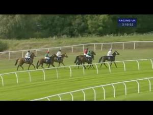 Video preview image for Huntingdon 15:10 - House Of Flags Handicap Hurdle