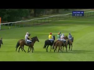 Video preview image for Perth 16:20 - Tuv-Sud Consulting Engineers Handicap Hurdle