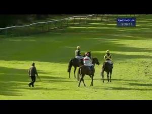 Video preview image for Perth 17:20 - Pipe and Piling Supplies Standard Open NH Flat Race