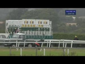 Video preview image for Beverley 17:05 - racehorsetrader.com Best Place To Sell Racehorses Maiden Stakes