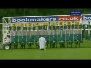 Video preview image for Carlisle 17:05 - Comlongon Castle Handicap