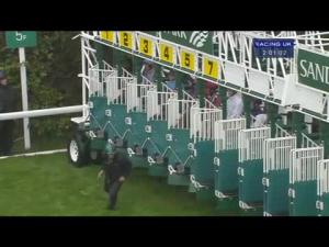 Video preview image for Sandown Park 14:00 - British Stallion Studs E.B.F. Maiden Stakes