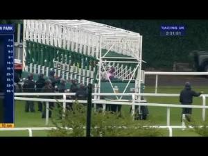 Video preview image for Sandown Park 14:30 - Epg Insurance Services/British Stallion Studs E.B.F. Maiden Stakes