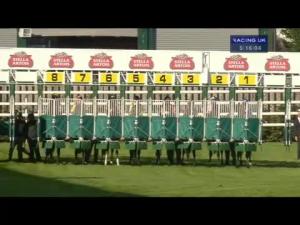Video preview image for Chester 17:15 - Stella Cidre Handicap