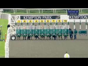 Video preview image for Kempton Park 17:30 - William Hill Jump Sunday 20.10.13 Handicap