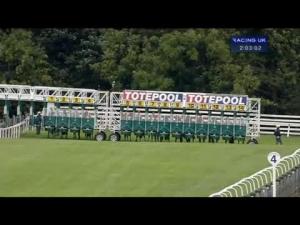 Video preview image for Beverley 14:00 - Bet Totejackpot Text Tote To 89660 Selling Nursery