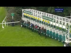 Video preview image for Sandown Park 14:20 - Old Ellens Handicap (Supporting The Racehorse Sanctuary)