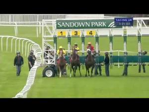 Video preview image for Sandown Park 15:20 - St James's Place Wealth Management Novice Stakes