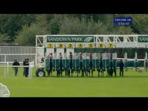 Video preview image for Sandown Park 15:55 - Fortune Stakes (Listed)