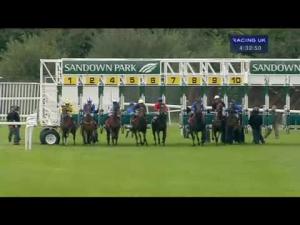 Video preview image for Sandown Park 16:30 - Max Patel Wealth Manager Of Choice Fillies' Handicap