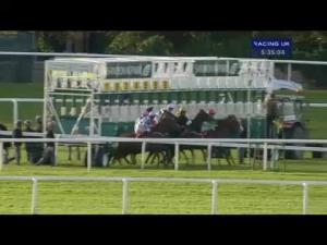 Video preview image for Sandown Park 17:35 - Wildwood Golf and Country Club Handicap (Jockey Club Grassroots Middle Distance Series Qualifier)
