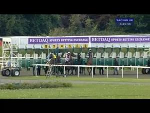 Video preview image for Kempton Park 17:45 - William Hill Jump Sunday 20.10.13 Median Auction Maiden Stakes