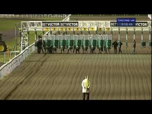 Video preview image for Kempton Park 21:10 - Reindeer Racing Christmas Party Nights Handicap