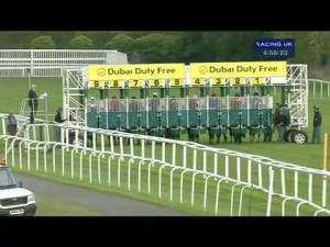 Video preview image for Newbury 16:50 - Dubai Duty Free Cup (Listed) (Str)