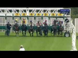 Video preview image for Catterick Bridge 15:20 - Pin Point Recruitment Handicap