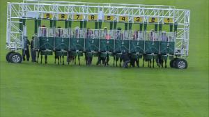 Video preview image for Catterick Bridge 16:30 - 2013 Catterick Twelve Furlong Series Final Handicap
