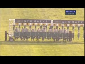 Video preview image for Newmarket 17:25 - Prestige Vehicles E.B.F. Fillies' Handicap