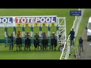 Video preview image for Hamilton Park 14:40 - Try A Totetrifecta At totepool.com Handicap