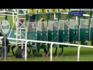 Video preview image for Hamilton Park 15:10 - Totepool Mobile Text Tote To 89660 Claiming Stakes