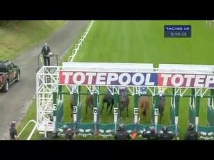 Video preview image for Hamilton Park 16:10 - totepool.com E.B.F. Stallions Conditions Stakes
