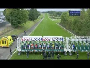 Video preview image for Hamilton Park 17:10 - Collect Totepool Winnings At Betfred Shops Handicap