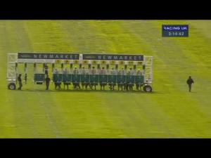 Video preview image for Newmarket 15:10 - Princess Royal Richard Hambro E.B.F. Stakes (Formerly The Harvest Stakes) (Fillies' Listed)