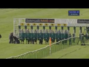 Video preview image for Newmarket 15:40 - Somerville Tattersall Stakes (Group 3)