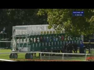 Video preview image for Haydock Park 13:30 - Peter & Olly Hughes Golden Wedding Handicap (Div 1)