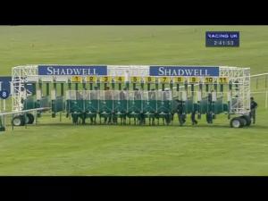 Video preview image for Newmarket 14:40 - Nayef Joel Stakes (British Champions Series) (Group 2)