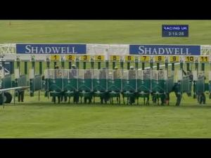 Video preview image for Newmarket 15:15 - Shadwell Fillies' Mile (Group 1)