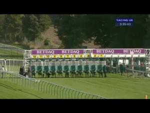 Video preview image for Haydock Park 15:35 - Griffiths & Armour Nursery