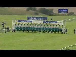 Video preview image for Newmarket 15:50 - Sakhee E.B.F. Maiden Stakes