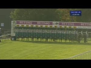 Video preview image for Haydock Park 17:20 - Betdaq Haydock Park Apprentice Training Series Handicap