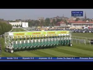 Video preview image for Chester 14:30 - Winter Wonderland At Chester Racecourse Handicap