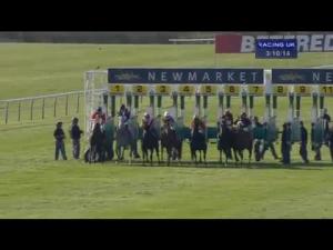 Video preview image for Newmarket 15:10 - Kingdom Of Bahrain Sun Chariot Stakes (Fillies' Group 1)