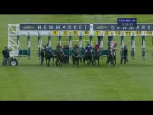 Video preview image for Newmarket 17:35 - Paul & Lesley Stevens Silver Wedding Anniversary Handicap