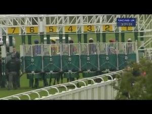 Video preview image for Epsom Downs 15:20 - Totequadpot Four Places In Four Races Handicap