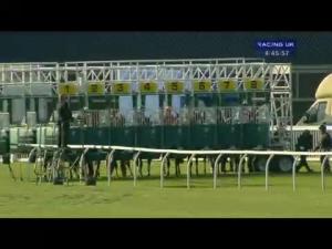 Video preview image for Musselburgh 16:45 - Steadfast Scotland Handicap