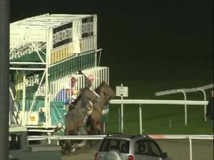 Video preview image for Kempton Park 19:20 - Download The BetVictor App Handicap