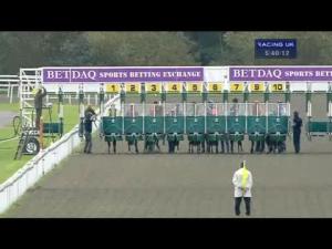 Video preview image for Kempton Park 17:40 - Day Delegate Rates From 39 Handicap