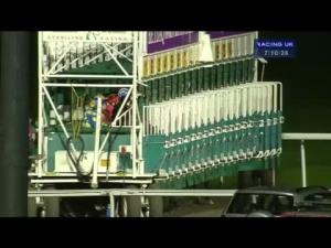 Video preview image for Kempton Park 19:10 - Reindeer Racing At Kempton Park 06.12.13 Handicap (Div 2)