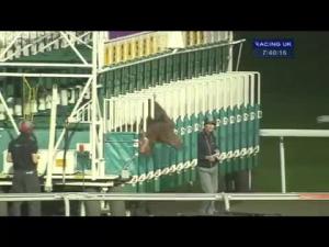 Video preview image for Kempton Park 19:40 - Commission Free 1st Month At Betdaq Novice Stakes