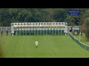 Video preview image for Warwick 17:10 - Jockey Club Grassroots Sprint Series Final (Handicap)