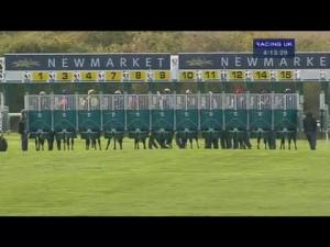 Video preview image for Newmarket 16:10 - Trm Pride Stakes (Formerly The Severals Stakes) (Fillies' Listed)