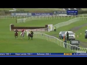 Video preview image for Kelso 15:05 - Tiger McElrath Novices' Limited Handicap Chase