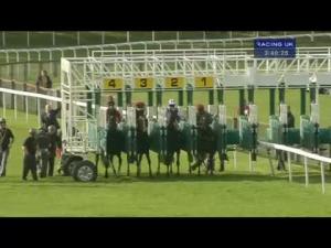 Video preview image for Pontefract 15:40 - Phil Bull Trophy Conditions Stakes