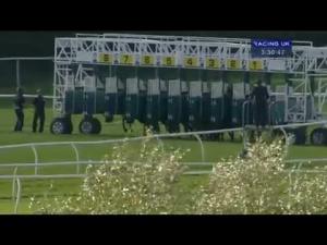 Video preview image for Catterick Bridge 15:30 - Terri and Dave's 30th Wedding Anniversary Nursery